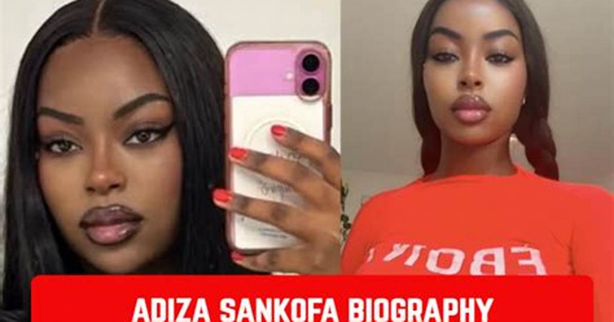 Adiza Sankofa Search Frenzy: a Complete Breakdown of How the Drama Unfolded