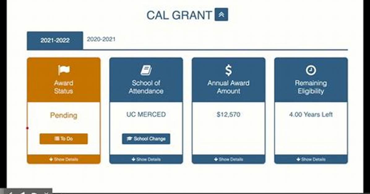 Decoding Your Webgrants 4 Students Dashboard: What Every Status Indicator Actually Means