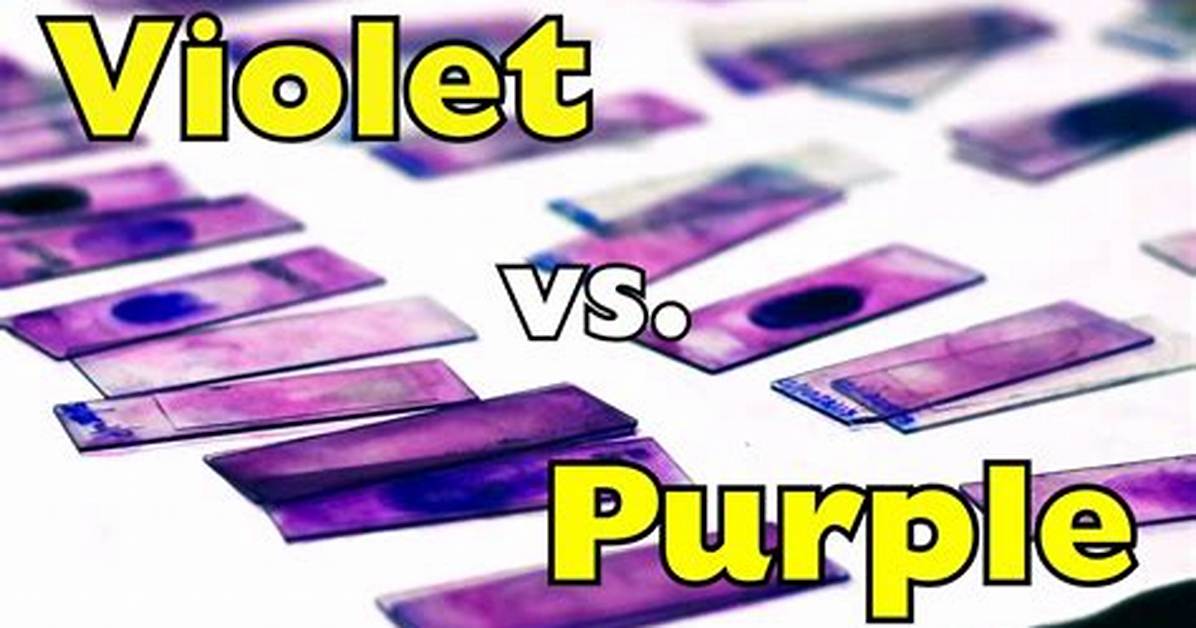 Fact-Checking Purple vs Violet: Debunking Everyday Color Perception Myths