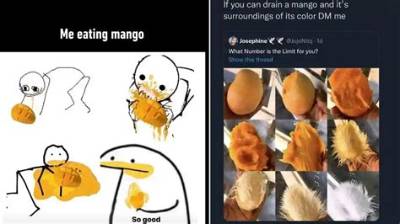 'Found Eating Mangoes' Meme Faq: Origins, Meaning, and How to Use It