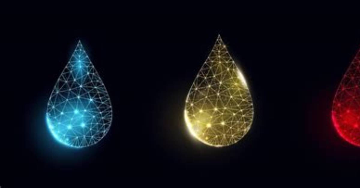 From Low-Poly Graphics to Frame Drops: Visual Proof of What Kaku-Kaku Represents