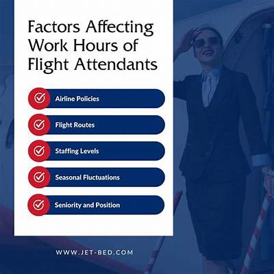 How Many Hours a Week Do Flight Attendants Work? Complete Beginner's Guide