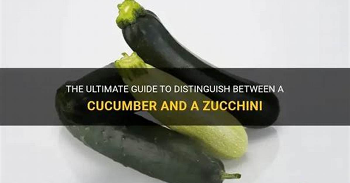 How to Tell Zucchini and Cucumber Apart Instantly: 5 Visual Clues