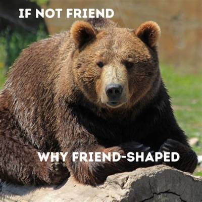 'If Not Friend, Why Friend Shaped?' the Science Behind Cute Meme Formats