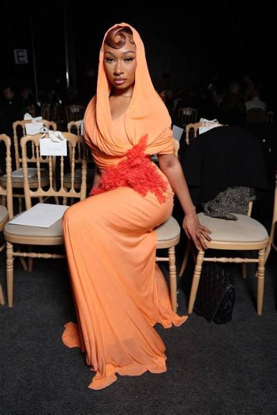 Megan Thee Stallion Pregnant? Everything Fans Need to Know About the Latest Viral Craze