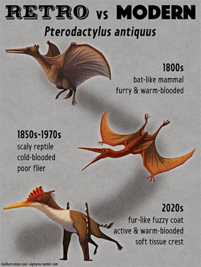 Pteranodon vs Pterodactyl: the Definitive Guide to Flying Prehistoric Reptiles