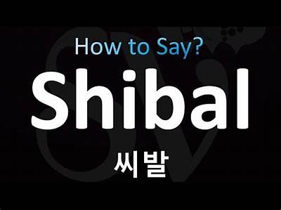 'Shibal' in Korean Explained: Pronunciation, Variations, and When Never to Use It