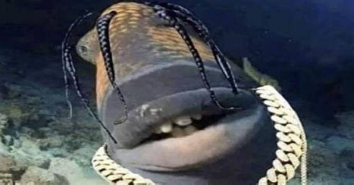 The Rise of 'Travis Scott Fish': a Complete Timeline of the Internet's Wildest Meme