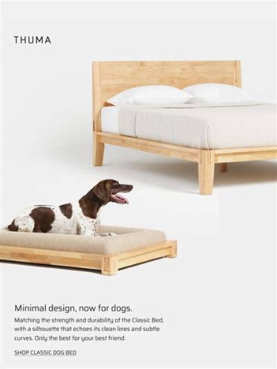 Thuma Classic Dog Bed Hands-on Look: Aesthetic Perfection or Overpriced Hype?