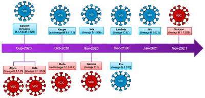 Timeline of a Viral Spike: How Provocative Search Queries Snowball Across the Web in Real Time