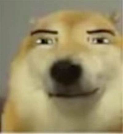 Timeline of the Smirking Dog Meme: How Kabosu and Viral Canines Shaped Modern Humor