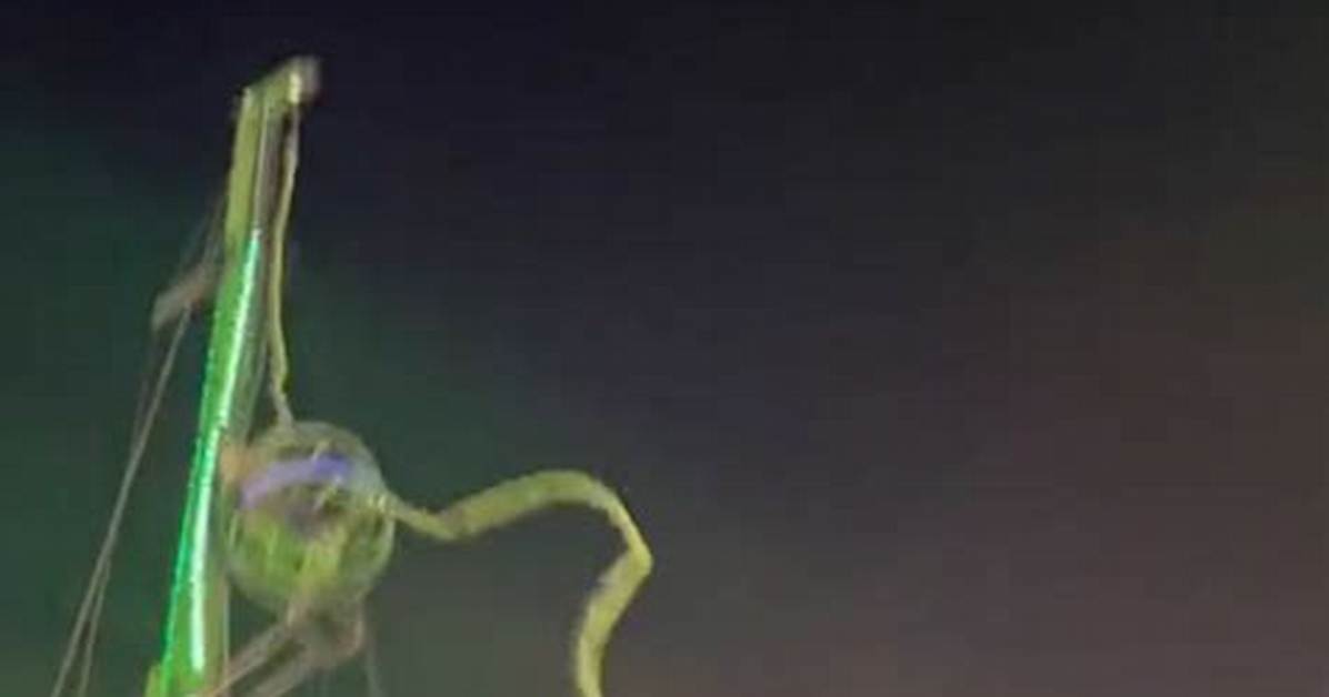 Viral Slingshot Ride Slip: What Really Happened in the Trending Video?