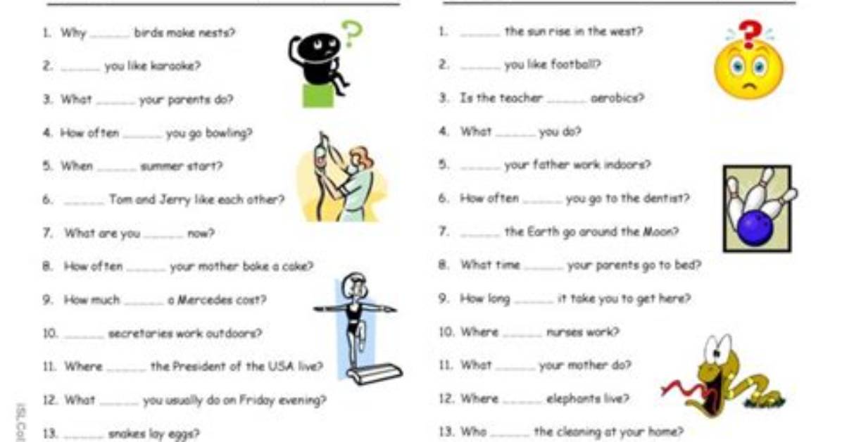 What Does 'What the Doing' Mean? the Absurd Internet Joke Taking over Your Feed
